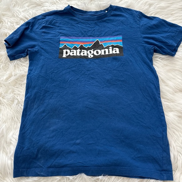 Patagonia Other - Patagonia Kids Vibrant Blue Graphic Tee